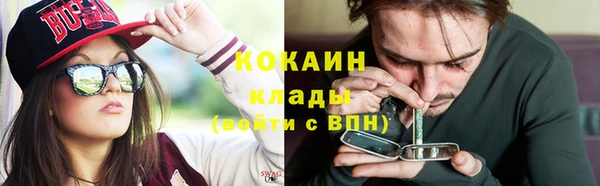 apvp Верея