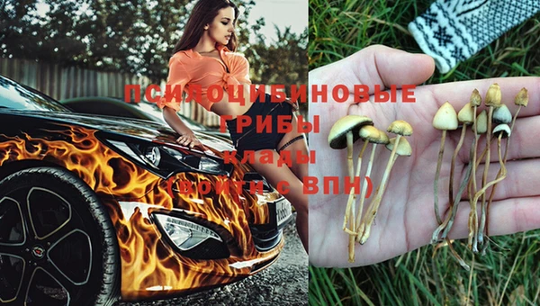 2c-b Бронницы