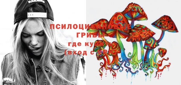 винт Бородино