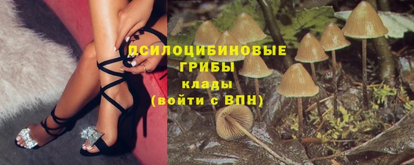 2c-b Бронницы