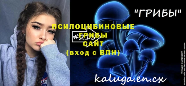 винт Бородино