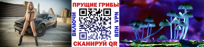 Купить закладки  Котельнич  Псилоцибиновые грибы MAGIC MUSHROOMS 